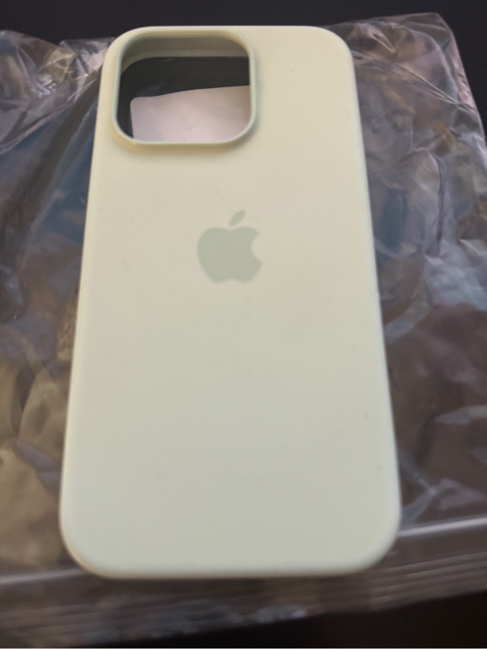 Apple iPhone 15 pro case Mint